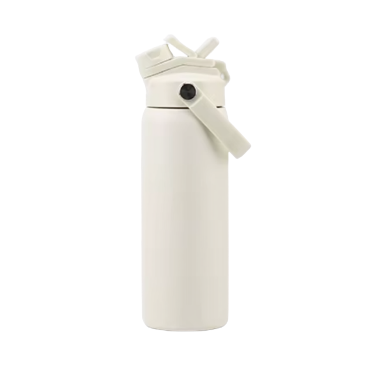 Insulated Water Bottle